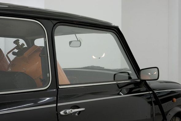 Ariel Schlesinger, A Car Full of Gas, 2009