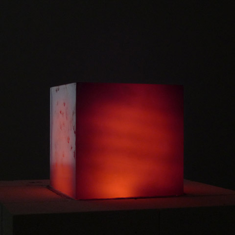 Richard Wilson, Red Hot, 2010