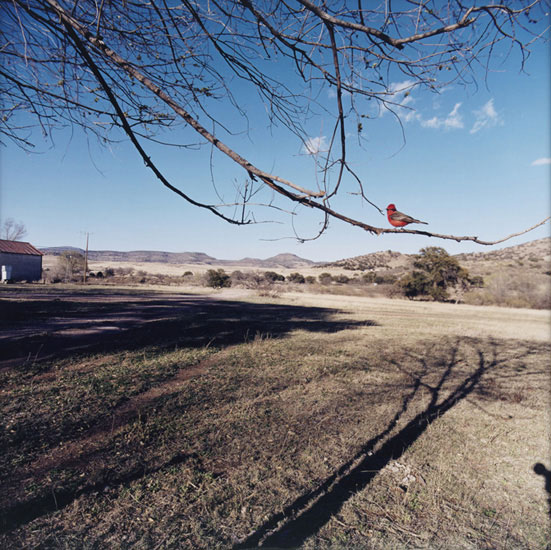 Jean-Luc Mylayne, No. 301, Mars Avril 2005