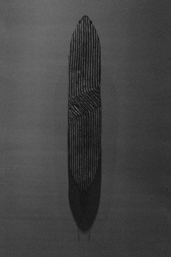 Cyrill Lachauer, Santa Cruz, 2010