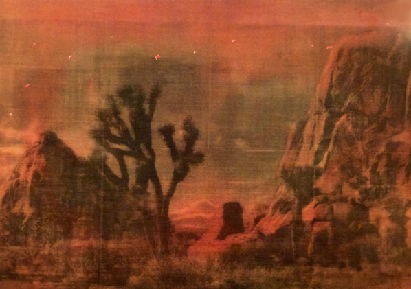 Ernesto Canovas, "Peyoteland", 2011