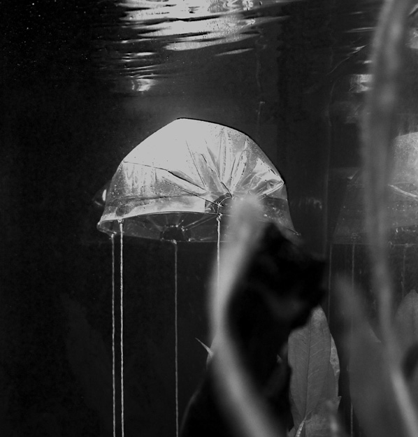 Anna Romanenko, Björn Kühn & Gabriel Hensche, Liminal Dome