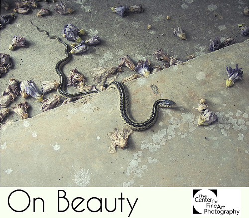 On Beauty | INTERNATIONAL PHOTOGRAPHIC CALL FOR ENTRIES at C4FAP