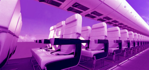 Cell Project Space Internship