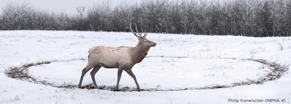 Image: Philip Kanwischer (INPHA 4)