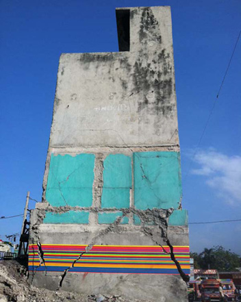 Fungus_collective_004