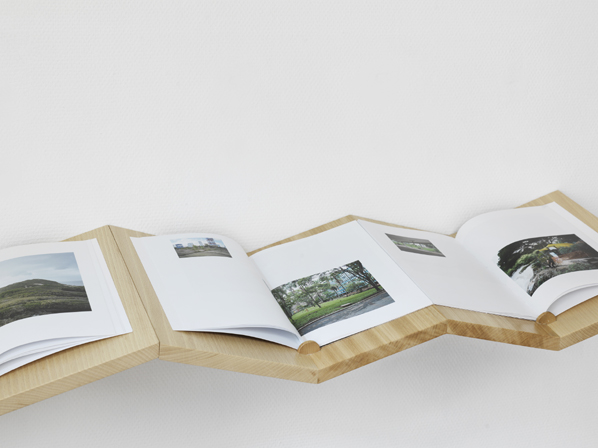 Cyrille Weiner and Grégory Lacoua, Twice, 2014