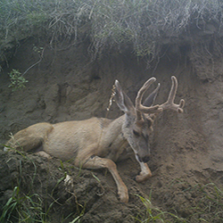 Duvall_residency Duvall_residency