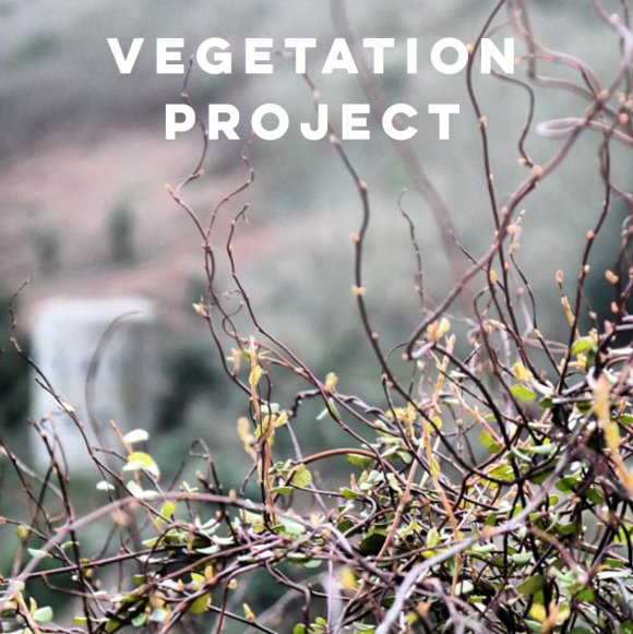 Ecko Magazines Open Call for Artists: Vegetation 