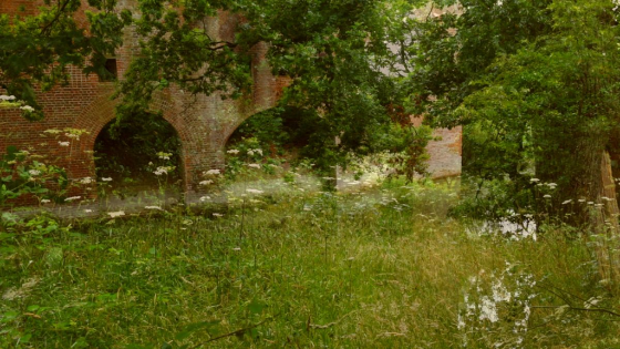 Monocular View by Kye Wilson 2015 Monocular View by Kye Wilson 2015