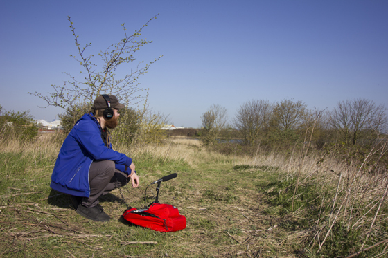 The Auxiliary The Auxiliary