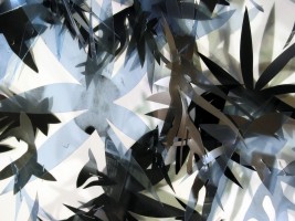 Night Vision (detail)