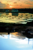 The Sun always sets, 2010, 80 x 120 cm
