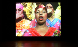 peripheral stories, 2005,installation shot