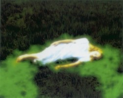 Nyima 195, 2004, photograph on canvas Nyima 195, 2004, photograph on canvas