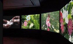 "Flower Girl", 4-channel Video installation