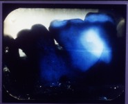 Mueca de Berenice -1995 Mueca de Berenice -1995