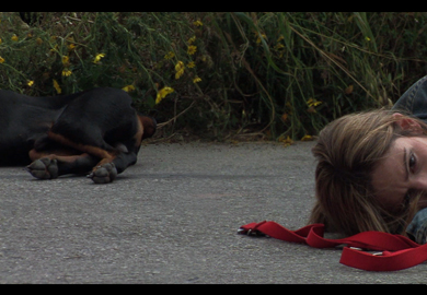 In Times of Crisis - Video Installation 2008 In Times of Crisis - Video Installation 2008