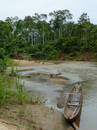 The Trip, 2011<br/>A Serpentine Gallery Project for 'Skills Exchange: Urban Transformation and the Politics <br/>of Care', in collaboration with St. John�s Hospice, London<br/>