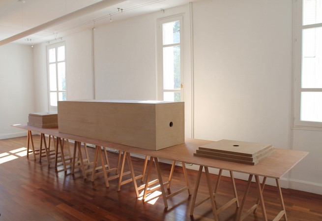 M�dium#3, 2016<br/>Treastes, plywood boards, medium<br/>600 x 144 x 120 cm<br/>